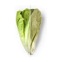 Barcelona Vakuumsystem Beholder - 2 Stk. -Opbevaring Af Mad 3990 3470bad2 9dfb 4083 b944 429c91ca9fd3