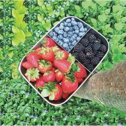 Denmark Bento Boks Large Med 3 Rum -Opbevaring Af Mad 3990 68719ddc beee 4152 ba2a ac07f7e80ff4