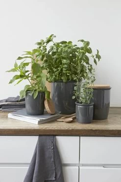 Opbevaring Af Mad 10 Opbevaring Af Mad -Opbevaring Af Mad 3990 8b1b5a47 c5b2 4ea7 9fd3 c5b476fdcd75