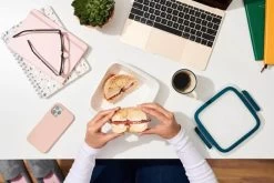 OXO Prep & Go Sandwich Beholder -Opbevaring Af Mad 3990 fcb8eaa6 b7eb 4e27 8738 fcc9fdc72f48